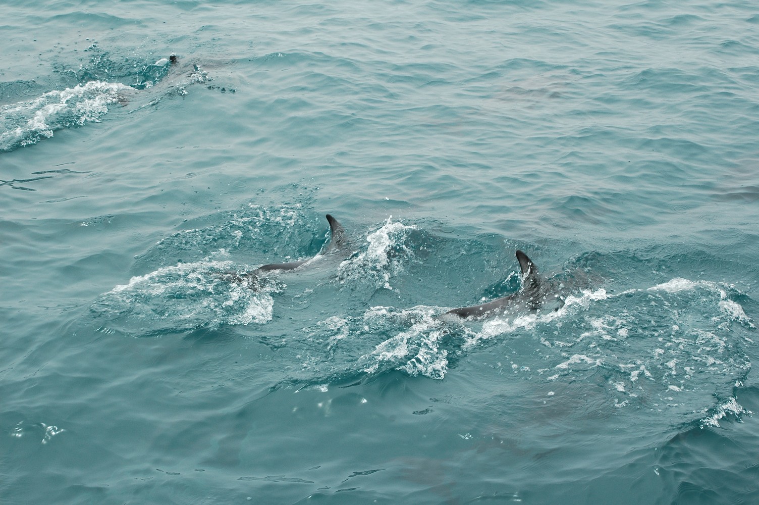 180   30 01   Kaikoura
